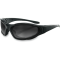 (image for) Raptor II Interchangeable Sunglasses - Black