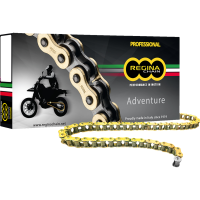 (image for) Regina 525ZRE Z-Ring Chain - 120 Links