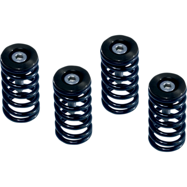 Barnett Ducati 6-Speed Dry Clutch Spring Kit