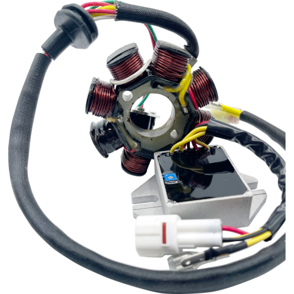 (image for) RICK'S MOTORSPORT ELECTRIC Lithium-Ion Friendly Charging Kit 2112-1734