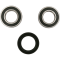 (image for) Front Wheel Bearing and Seal Kit