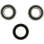 (image for) Front Wheel Bearing and Seal Kit
