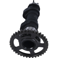 (image for) Hot Cams Racing Camshaft - Honda CRF450R/RX / CRF450RWE
