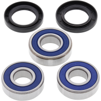 (image for) Rear Wheel Bearing and Seal Kit for Honda CBR900RR 95