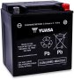 (image for) Yuasa AGM Maintenance-Free Battery YIX30L