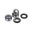 (image for) Factory Links OEM Series Rear Wheel Bearing Kit 0215-1603