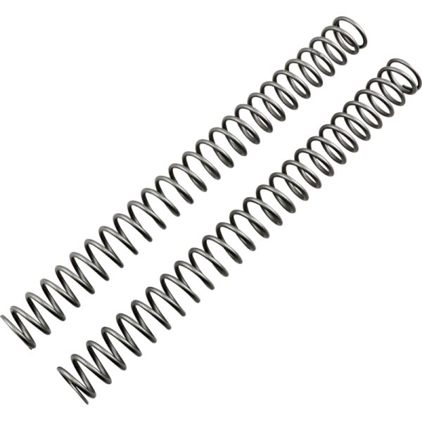 (image for) Race Tech Fork Spring 0405-0269