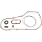 (image for) Primary Gasket Kit 00-06 Softail/99-05 Dyna