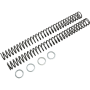 (image for) Race Tech Fork Spring FRSP414746