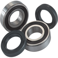 (image for) Rear Wheel Bearing and Seal Kit
