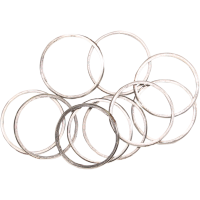(image for) Stainless Spiral Wound Exhaust Port Gasket