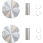 (image for) Replacement Piston Kit