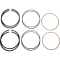 (image for) Replacement Piston Rings Set
