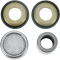 (image for) Lower Shock Bearing Kit