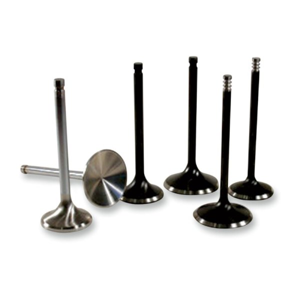 (image for) AV&V Extreme-Duty Tulip Intake Valve