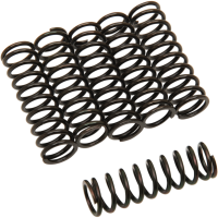 (image for) Barnett Clutch Springs