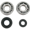 (image for) Crank Bearing and Seal Kit - YAMAHA YZ250X 16-24
