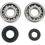 (image for) Crank Bearing and Seal Kit - YAMAHA YZ250X 16-24
