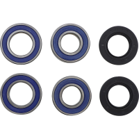 (image for) Rear Wheel Bearings and Seal Kit