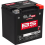 (image for) BS Battery SLA MAX BGZ Battery - GYZ32HL