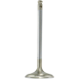 (image for) White Diamond Center Intake Valve