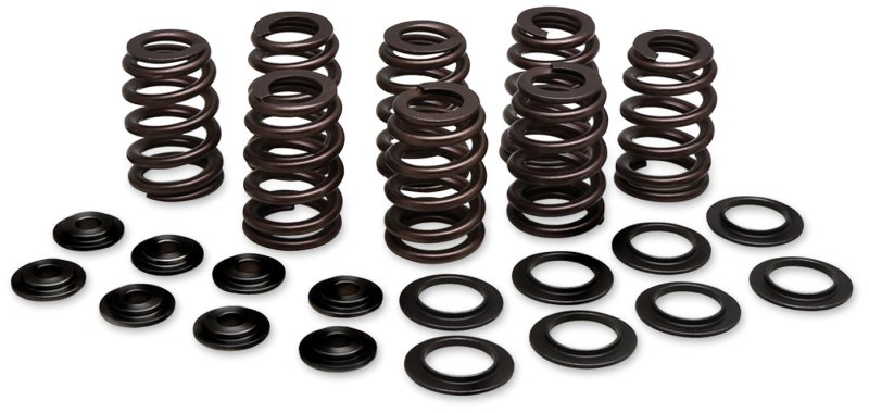 (image for) KIBBLEWHITE KPMI Valve Spring Kit 0926-2967