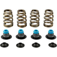 (image for) COMP Cams Beehive Valve Spring Kit 0926-2900