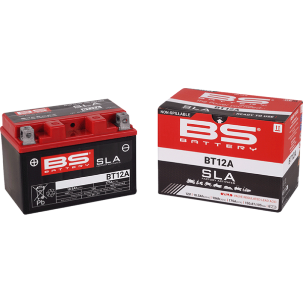 (image for) BS Battery SLA AGM Battery 2113-0631
