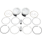 (image for) Tracker Series Piston Kit - 3.895" Bore