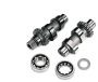 (image for) Andrews 57H Chain-Drive Cam Kit