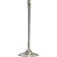 (image for) White Diamond Exhaust Valve