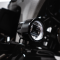 (image for) ProBEAM LED Halo Fog Light, Black/Clear Lens