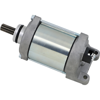 (image for) Starter Motor