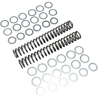 (image for) Fork Springs 1.0 kg/mm