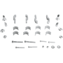 (image for) Repl. X-Rally Universal Mounting Kit