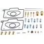 (image for) Carburetor Repair Kit for Ski-Doo Safari Citation/Tundra 250 87-92