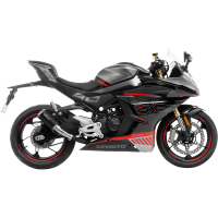 (image for) LeoVince LV-10 Black Stainless Steel Slip-On Exhaust