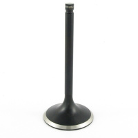 (image for) Extreme-Duty Tulip Intake Valve