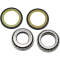 (image for) Steering Stem Bearing Kit 22-1015