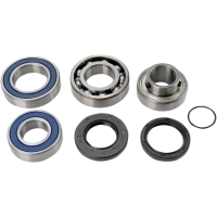 (image for) Drive Shaft Chain Case Bearing and Seal Kit