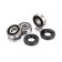 (image for) Rear Wheel Bearing Kit - FANTIC