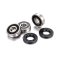 (image for) Rear Wheel Bearing Kit - FANTIC
