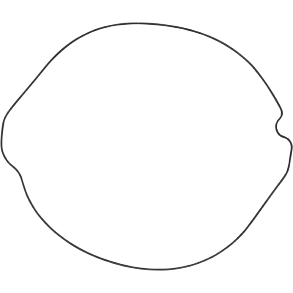 (image for) WINDEROSA Vertex Outer Clutch Gasket Kit