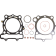 (image for) Cometic Top End Kit (79 mm Bore) for Kawasaki KX250 19-20