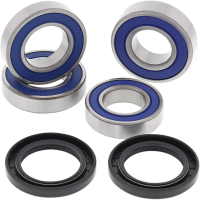 (image for) Rear Wheel Bearing and Seal Kit for Honda CBR600RR 07-22