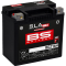(image for) BS Battery GYZ16H SLA MAX BGZ AGM Battery