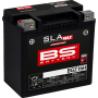 (image for) BS Battery GYZ16H SLA MAX BGZ AGM Battery