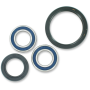 (image for) Front Wheel Bearing and Seal Kit