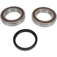 (image for) Drive Shaft Chain Case Bearing and Seal Kit