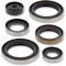 (image for) Moose Offroad Oil Seal Set for KTM 150 XC-W 24